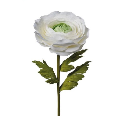 RAMO RANUNCOLO CM125 CREMA